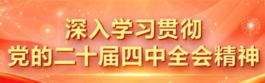 深入學(xué)習(xí)貫徹黨的二十屆四中全會(huì)精神